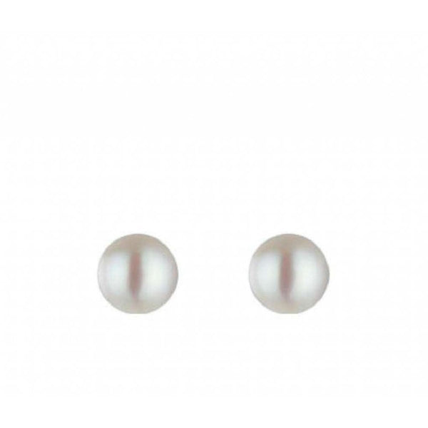 Finnies The Jewellers 9CT White Gold 6-6.5MM Freshwater Pearl Stud Earrings